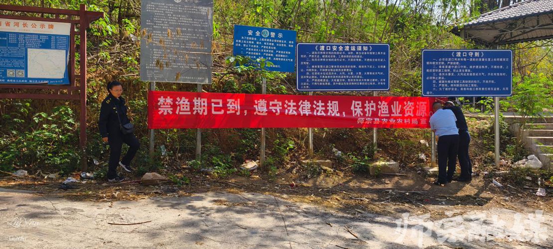 中牟义磊苗木